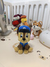 汪汪隊立大功（PAW PATROL）狗狗巡邏隊毛絨玩具男女孩可愛(ài)小狗玩偶公仔兒童節禮品生日禮物 汪汪隊毛絨22.9cm-中號(阿奇) cm 曬單實(shí)拍圖