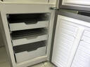 上菱183升雙開(kāi)門(mén)冰箱小型出租房2-3人用 出租屋家用兩門(mén)二門(mén)小戶(hù)型雙門(mén)電冰箱以舊換新BCD-183D 曬單實(shí)拍圖
