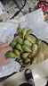 【順豐】海南新鮮仙人掌果 仙桃果實(shí)應當季熱帶稀奇小個(gè)頭酸水果 【仙人掌果】1斤裝（15-20個(gè)左右） 曬單實(shí)拍圖