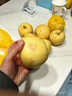 形果山東奶油富士蘋(píng)果中大果當季現摘山東富士蘋(píng)果孕婦兒童新鮮水果 奶油富士中果 精選5斤裝 曬單實(shí)拍圖
