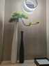 赟婭意式極簡(jiǎn)入戶(hù)玄關(guān)落地擺件客廳電視柜花瓶家居裝飾輕奢藝術(shù)高級感 拉絲白黑組合+美人松1支 曬單實(shí)拍圖