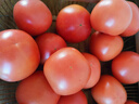 京鮮生 攀枝花沙瓤西紅柿凈重4.5斤禮盒單果150g起酸甜多汁源頭直發(fā)包郵 曬單實(shí)拍圖