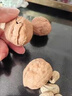 胖東來(lái)同款鹽焗核桃新疆鹽焗核桃新鮮干果堅果之王薄皮零食烤核桃 【高品質(zhì)】新貨大果烤核桃--真薄皮2袋300·克 曬單實(shí)拍圖