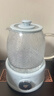德森朗（Desselan）德國全玻璃壺體養生壺煮茶器燉煮壺保溫一體煮茶壺燒水壺全自動(dòng)多功能恒溫壺新款小型煮花茶壺 1.5L 茶漏款【0涂層全玻璃壺】 曬單實(shí)拍圖