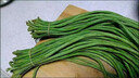 新鮮長(cháng)豆角豇豆現摘現發(fā)蔬菜豆角蕓豆生鮮 帶箱1斤 曬單實(shí)拍圖