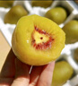 京地達獼猴桃紅心獼猴桃奇異果新鮮水果24枚單果90g+源頭直發(fā)包郵 曬單實(shí)拍圖