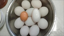 逗別三日土鵝蛋大個(gè)鵝蛋孕婦寶寶輔食超大鵝蛋整箱包郵 散養鵝蛋12枚裝【100-130克】 曬單實(shí)拍圖