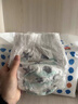 碧芭寶貝盛夏光年拉拉褲夏季專(zhuān)用薄透氣寶寶成長(cháng)褲薄柔親膚學(xué)步褲 拉拉褲XXXXL24片(19KG以上) 曬單實(shí)拍圖