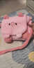 葉余可愛(ài)桃桃豬雙肩斜挎包新款學(xué)生軟妹百搭日韓系毛絨少女卡通背包 粉色小豬雙肩斜挎包 曬單實(shí)拍圖