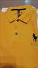 奧萊斯特保羅官方高端品牌polo衫男士長(cháng)袖t恤春秋新款中年商務(wù)休閑爸爸打底衫 8971黃色 L 曬單實(shí)拍圖