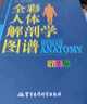 【新版】人體解剖彩色圖譜 第2版 全彩人體解剖學(xué)圖譜 全彩人體解剖學(xué)圖譜 正版保障 曬單實(shí)拍圖