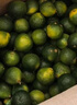 海南小金桔新鮮青檸檬青柑皮薄應當季奶茶店水果檸檬青桔皮薄多汁 金桔（5-10g）帶箱3斤 凈重 2.7 曬單實(shí)拍圖