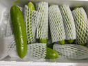 海陽(yáng)白玉黃瓜  生吃水果黃瓜  新鮮小青瓜農家自種  源頭直發(fā) 凈重3斤 曬單實(shí)拍圖