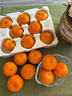 正宗浙江臺州臨海涌泉蜜桔黃巖薄皮當季新鮮橘子禮盒裝順豐 甄選老樹(shù)8A特級果 【順豐彩箱裝】 5斤 曬單實(shí)拍圖