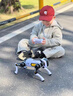 爸爸衛士 DADDY GUARDai智能機器狗3-5歲7-14兒童玩具8-12歲男孩生日禮物6-10編程遙控4 AI智能機器狗【十八般武藝/遙控語(yǔ)音/仿生動(dòng)作】 機械狗仿生人遙控汽車(chē)早教益智2025火 曬單實(shí)拍圖
