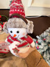 安迪泰2025圣誕節禮物圣誕老人公仔麋鹿雪人可愛(ài)玩偶擺件櫥窗商店裝飾品 圣誕老人公仔 【48*16cm】 曬單實(shí)拍圖