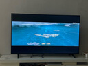 TCL雷鳥(niǎo)電視 50雀4 25款 50英寸 萊茵護眼雙認證 自定義遙控器 無(wú)開(kāi)機廣告 家電國家補貼電視50F195C 曬單實(shí)拍圖