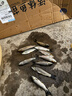 大草魚(yú)苗淡水養殖半斤一斤20厘米活體皖魚(yú)螺螄青魚(yú)苗可食用觀(guān)賞冷水魚(yú)小魚(yú)苗特大草魚(yú)魚(yú)苗批發(fā) 優(yōu)質(zhì)草魚(yú)苗 20條10-13厘米(加10%防損) 曬單實(shí)拍圖