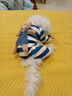 沐霓秋冬款立體小熊小狗狗衣服泰迪比熊博美小型犬貓咪寵物四腳居家服 寵物衣服【四腿熊藍白條紋L碼適合8-11斤毛孩子】 曬單實(shí)拍圖