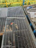 鍍鋅格柵板熱鍍鋅鋼格板排水溝蓋板光伏平臺鋼格柵插接樓梯踏步板 200mm寬x1000mm長(cháng)x30mm高x3mm厚 曬單實(shí)拍圖