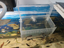 逸樂(lè )寵魚(yú)缸隔離盒亞克力隔離盒板魚(yú)孵化盒水族小魚(yú)苗孵化繁殖箱多格 單格吸盤(pán)15*10*10 （加掛鉤） 曬單實(shí)拍圖