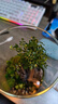 丘辰苔蘚微景觀(guān)生態(tài)瓶DIY辦公室內桌面綠植擺件造景花卉盆栽生日禮物 一路有你（充電款） 曬單實(shí)拍圖