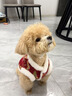 魚(yú)躍星空寵物狗狗衣服冬季拜年馬年新年保暖冬天過(guò)年喜慶小狗唐裝拜年服 刺繡飛馬送?！局袊t】限時(shí)低價(jià) XS (建議1-3斤） 曬單實(shí)拍圖