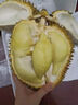 豪優(yōu)樾泰國進(jìn)口金枕頭榴蓮鮮果 新鮮生鮮水果整顆帶殼 2-3斤包3-4房 曬單實(shí)拍圖