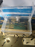 逸樂(lè )寵魚(yú)缸隔離盒亞克力隔離盒板魚(yú)孵化盒水族小魚(yú)苗孵化繁殖箱多格 單格吸盤(pán)15*10*10 （加掛鉤） 曬單實(shí)拍圖