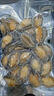 鮑魚(yú)新鮮冷凍大鮑魚(yú)小鮑魚(yú)海鮮水產(chǎn)冷凍貝類(lèi)冷凍大鮑魚(yú)全國包郵 活凍小鮑魚(yú)（10g左右一只） 十只 曬單實(shí)拍圖