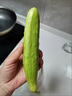 海陽(yáng)白玉黃瓜山東新鮮現摘發(fā)水果小黃瓜農家孕婦生吃青瓜 【新鮮現摘】 3斤 曬單實(shí)拍圖