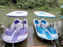 喬洛夫腳踏船公園景區觀(guān)光游樂(lè )船成人兒童卡通水上游玩船自排水碰碰船 四人白天鵝自排水腳踏船(不包郵) 曬單實(shí)拍圖