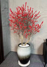 花財主北美冬青帶紅果真花盆栽樹(shù)苗老樁耐寒辦公室內盆景年宵花卉圣誕 特A級北美冬青盆栽50-60cm花開(kāi) 曬單實(shí)拍圖