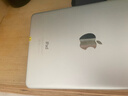 Apple 蘋(píng)果平板電腦 iPad mini4 二手平板電腦 銀色 128G WiFi 曬單實(shí)拍圖