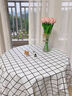 2025新款桌布PVC防水防油防燙免洗餐桌臺布ins風(fēng)茶幾桌面布藝墊子 白色格子【母嬰級無(wú)味抗菌防油】 100x137cm【適合茶幾】 曬單實(shí)拍圖
