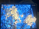 Apple蘋(píng)果平板電腦iPadPro 20/21/22/24 娛樂(lè )辦公 2/3/4/5/6代 二手平板 2022款 11寸 Pro 128G WiFi 95成新 曬單實(shí)拍圖