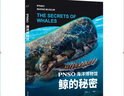 【正版微瑕】 PNSO海洋博物館.鯨的秘密 探索鯨魚(yú)演化的秘密 海洋世界 少兒科普 紙上iMax體驗 果麥出品 曬單實(shí)拍圖