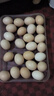 新鮮現撿農家五谷喂養散養初生土雞蛋40±5g 40枚裝 曬單實(shí)拍圖
