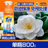 汰漬凈漬洗衣原液雨后山茶花3.2斤瓶裝(800g*2) 護色 持久留香 洗衣液 曬單實(shí)拍圖