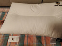 Teenie Weenie小熊a類(lèi)新疆全棉護頸枕芯一對酒店家用大豆纖維枕頭不塌陷不變形 曬單實(shí)拍圖