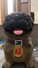 淘樂(lè )樂(lè )（TAOLELE）兒童存錢(qián)罐只進(jìn)不出小狗硬幣儲錢(qián)罐成人超大號擺件送男女生日禮物 卡通巴哥大號（可存不可?。?曬單實(shí)拍圖