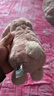 JELLYCATBunny粉色櫻花邦尼兔送女友禮物節日520情人節生日 粉色 36cm 曬單實(shí)拍圖