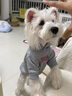 狗狗衣服小型犬秋冬季雪納瑞泰迪衣服保暖小狗棉衣寵物衣服帶帽 淺灰色【冬季加厚+連帽防風(fēng)】 2XL碼【建議17-20斤狗狗】 曬單實(shí)拍圖