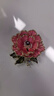 默研（MOYAN）牡丹花精致胸針國潮中式古典胸花氣質(zhì)別針花朵旗袍漢服配飾品 中國風(fēng)牡丹花 粉 A16-202 曬單實(shí)拍圖