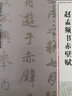 經(jīng)典碑帖導(dǎo)學(xué)教程·行：趙孟頫書赤壁賦 曬單實拍圖