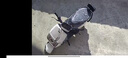 五羊【官方正品】電動(dòng)摩托車(chē)智能NFC大功率電動(dòng)車(chē)倆輪代步電摩男女時(shí)尚電動(dòng)踏板車(chē) 星耀白/1500W極速版/前后雙碟 72V26A/全新石墨烯電池/木架發(fā)貨 曬單實(shí)拍圖