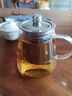 JCZS德國玻璃泡茶壺茶具套裝家用水壺耐高溫加厚耐熱過(guò)濾水壺煮茶壺器 多功能泡茶壺加厚高硼硅玻璃/破損包賠 450ml 501mL(含)-600mL(含) 曬單實(shí)拍圖