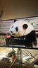 小米Redmi 27英寸4K超清顯示器 專(zhuān)業(yè)級色準 10Bit Type-C適配17ProMax廣色域旋轉升降顯示器屏A27U節能 曬單實(shí)拍圖