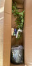 虹越（HONGYUE）藍莓果苗盆栽苗 南方北方庭院陽(yáng)臺種植果樹(shù)苗HN 【南北可種】“一號藍莓”1加侖 曬單實(shí)拍圖