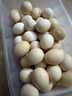 正宗農家蟲(chóng)草鮮雞蛋鮮雞蛋40g/枚溏心蛋早餐生鮮南陽(yáng)湖畔 30枚裝 曬單實(shí)拍圖